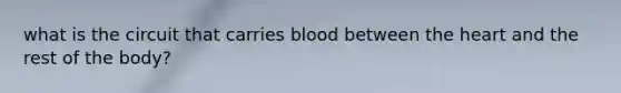 what is the circuit that carries blood between the heart and the rest of the body?