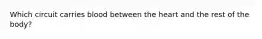 Which circuit carries blood between the heart and the rest of the body?