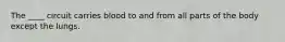 The ____ circuit carries blood to and from all parts of the body except the lungs.