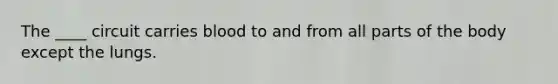 The ____ circuit carries blood to and from all parts of the body except the lungs.