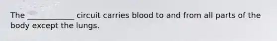 The ____________ circuit carries blood to and from all parts of the body except the lungs.