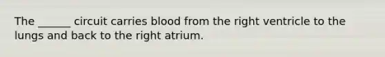 The ______ circuit carries blood from the right ventricle to the lungs and back to the right atrium.