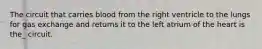 The circuit that carries blood from the right ventricle to the lungs for gas exchange and returns it to the left atrium of the heart is the_ circuit.