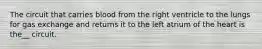 The circuit that carries blood from the right ventricle to the lungs for gas exchange and returns it to the left atrium of the heart is the__ circuit.