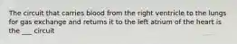The circuit that carries blood from the right ventricle to the lungs for gas exchange and returns it to the left atrium of the heart is the ___ circuit