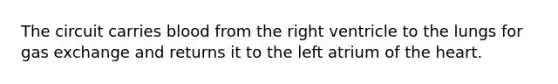 The circuit carries blood from the right ventricle to the lungs for gas exchange and returns it to the left atrium of the heart.
