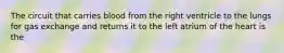 The circuit that carries blood from the right ventricle to the lungs for gas exchange and returns it to the left atrium of the heart is the