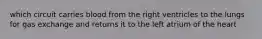 which circuit carries blood from the right ventricles to the lungs for gas exchange and returns it to the left atrium of the heart