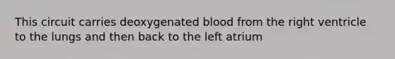 This circuit carries deoxygenated blood from the right ventricle to the lungs and then back to the left atrium