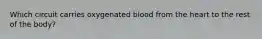 Which circuit carries oxygenated blood from the heart to the rest of the body?