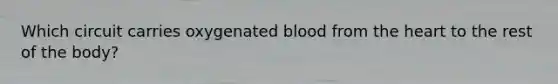 Which circuit carries oxygenated blood from the heart to the rest of the body?