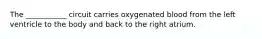 The ___________ circuit carries oxygenated blood from the left ventricle to the body and back to the right atrium.