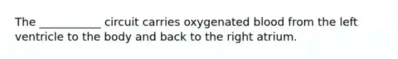 The ___________ circuit carries oxygenated blood from the left ventricle to the body and back to the right atrium.
