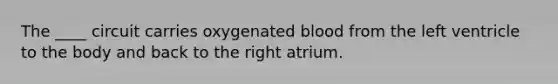 The ____ circuit carries oxygenated blood from the left ventricle to the body and back to the right atrium.