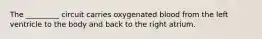 The _________ circuit carries oxygenated blood from the left ventricle to the body and back to the right atrium.