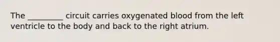 The _________ circuit carries oxygenated blood from the left ventricle to the body and back to the right atrium.