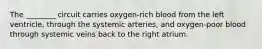 The ________ circuit carries oxygen-rich blood from the left ventricle, through the systemic arteries, and oxygen-poor blood through systemic veins back to the right atrium.