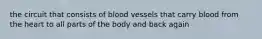 the circuit that consists of blood vessels that carry blood from the heart to all parts of the body and back again