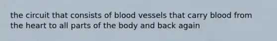 the circuit that consists of blood vessels that carry blood from the heart to all parts of the body and back again