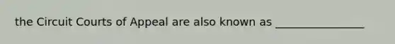 the Circuit Courts of Appeal are also known as ________________