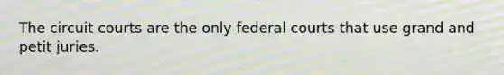 The circuit courts are the only federal courts that use grand and petit juries.