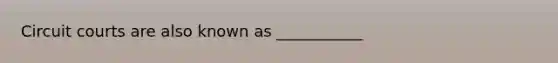 Circuit courts are also known as ___________