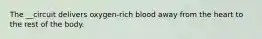The __circuit delivers oxygen-rich blood away from the heart to the rest of the body.