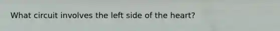 What circuit involves the left side of the heart?