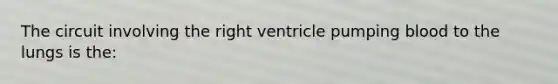 The circuit involving the right ventricle pumping blood to the lungs is the: