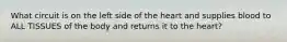 What circuit is on the left side of the heart and supplies blood to ALL TISSUES of the body and returns it to the heart?