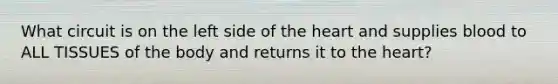 What circuit is on the left side of the heart and supplies blood to ALL TISSUES of the body and returns it to the heart?