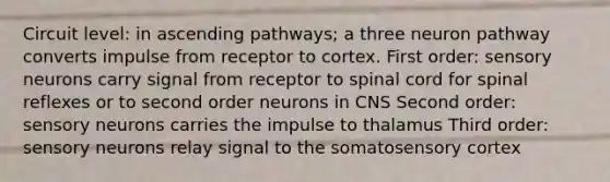 Circuit level: in ascending pathways; a three neuron pathway converts impulse from receptor to cortex. First order: sensory neurons carry signal from receptor to spinal cord for spinal reflexes or to second order neurons in CNS Second order: sensory neurons carries the impulse to thalamus Third order: sensory neurons relay signal to the somatosensory cortex