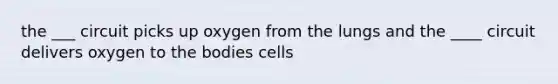 the ___ circuit picks up oxygen from the lungs and the ____ circuit delivers oxygen to the bodies cells