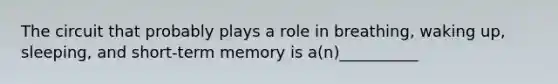 The circuit that probably plays a role in breathing, waking up, sleeping, and short-term memory is a(n)__________