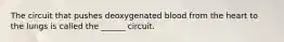 The circuit that pushes deoxygenated blood from the heart to the lungs is called the ______ circuit.