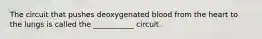 The circuit that pushes deoxygenated blood from the heart to the lungs is called the ___________ circuit.