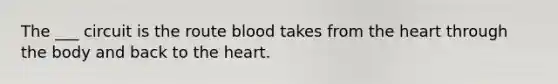 The ___ circuit is the route blood takes from the heart through the body and back to the heart.