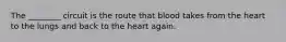 The ________ circuit is the route that blood takes from the heart to the lungs and back to the heart again.