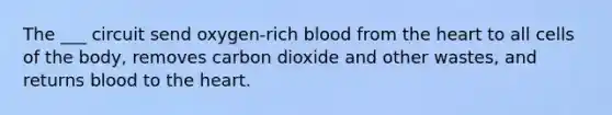 The ___ circuit send oxygen-rich blood from <a href='https://www.questionai.com/knowledge/kya8ocqc6o-the-heart' class='anchor-knowledge'>the heart</a> to all cells of the body, removes carbon dioxide and other wastes, and returns blood to the heart.