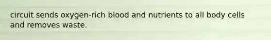 circuit sends oxygen-rich blood and nutrients to all body cells and removes waste.