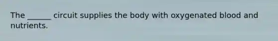 The ______ circuit supplies the body with oxygenated blood and nutrients.