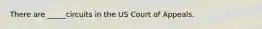 There are _____circuits in the US Court of Appeals.