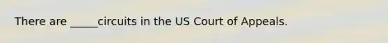 There are _____circuits in the US Court of Appeals.