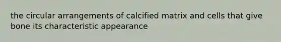 the circular arrangements of calcified matrix and cells that give bone its characteristic appearance