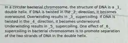 In a circular bacterial chromosome, the structure of DNA is a _1_ double helix. If DNA is twisted in the _2_ direction, it becomes overwound. Overwinding results in _3_ supercoiling. If DNA is twisted in the _4_ direction, it becomes underwound. Underwinding results in _5_ supercoiling. One effect of _6_ supercoiling in bacterial chromosomes is to promote separation of the two strands of DNA in the double helix.