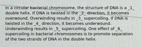 In a circular bacterial chromosome, the structure of DNA is a _1_ double helix. If DNA is twisted in the _2_ direction, it becomes overwound. Overwinding results in _3_ supercoiling. If DNA is twisted in the _4_ direction, it becomes underwound. Underwinding results in _5_ supercoiling. One effect of _6_ supercoiling in bacterial chromosomes is to promote separation of the two strands of DNA in the double helix.