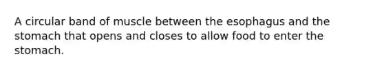 A circular band of muscle between the esophagus and the stomach that opens and closes to allow food to enter the stomach.