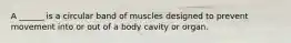 A ______ is a circular band of muscles designed to prevent movement into or out of a body cavity or organ.