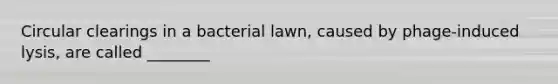 Circular clearings in a bacterial lawn, caused by phage-induced lysis, are called ________