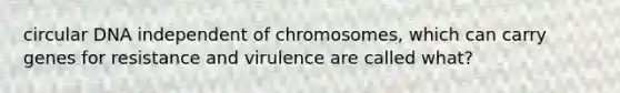 circular DNA independent of chromosomes, which can carry genes for resistance and virulence are called what?